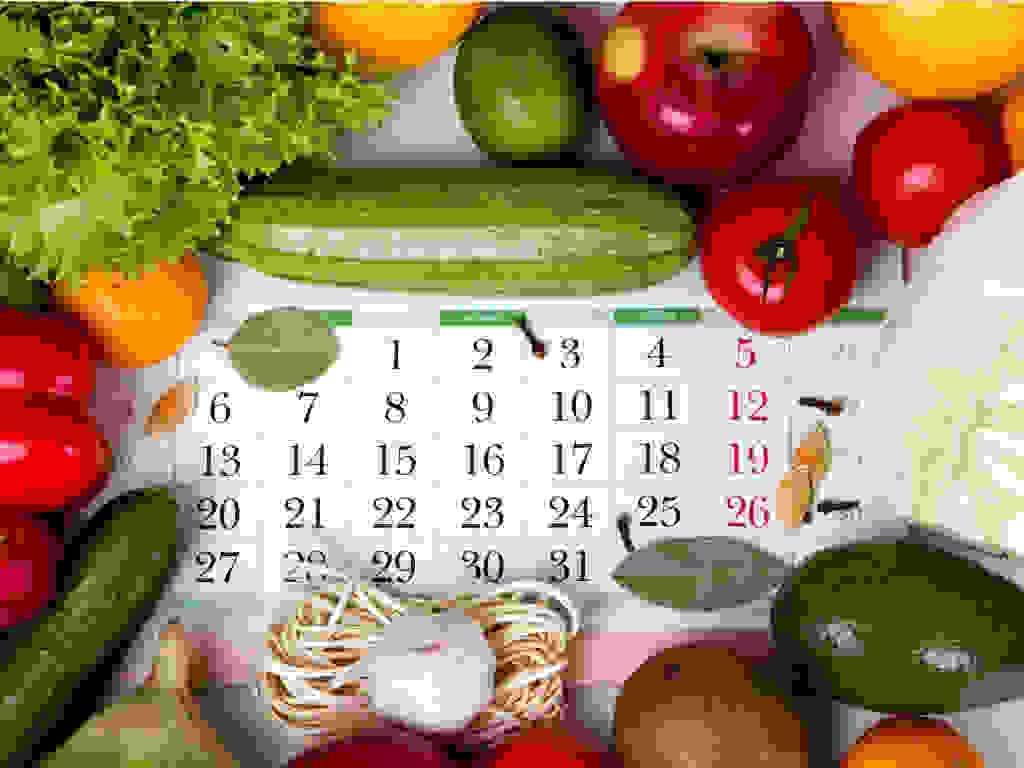 Affordable meal plan singapore