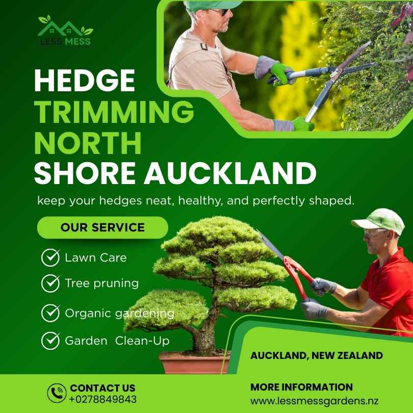 Enhance Your Garden’s Beauty with Expert Hedge Care in Auckland